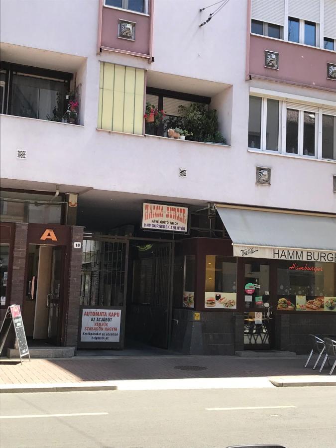 세게드 Dom Square-Centrum-Free Parking 아파트 외부 사진